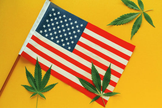Flaga USA z trzema liśćmi marihuany