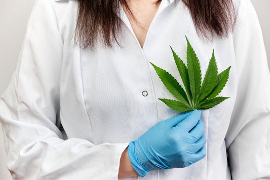  Lekarz trzymający liść marihuany