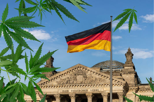 Liść marihuany przed Reichstagiem