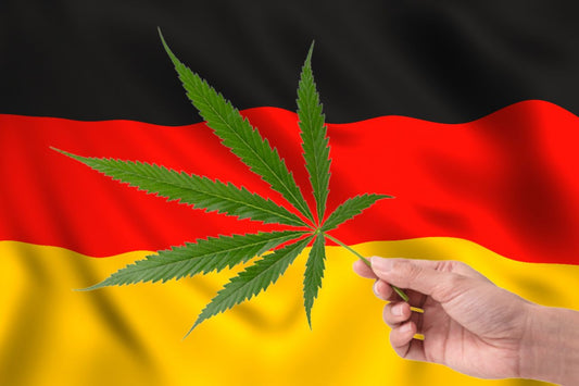 Liść marihuany przed niemiecką flagą