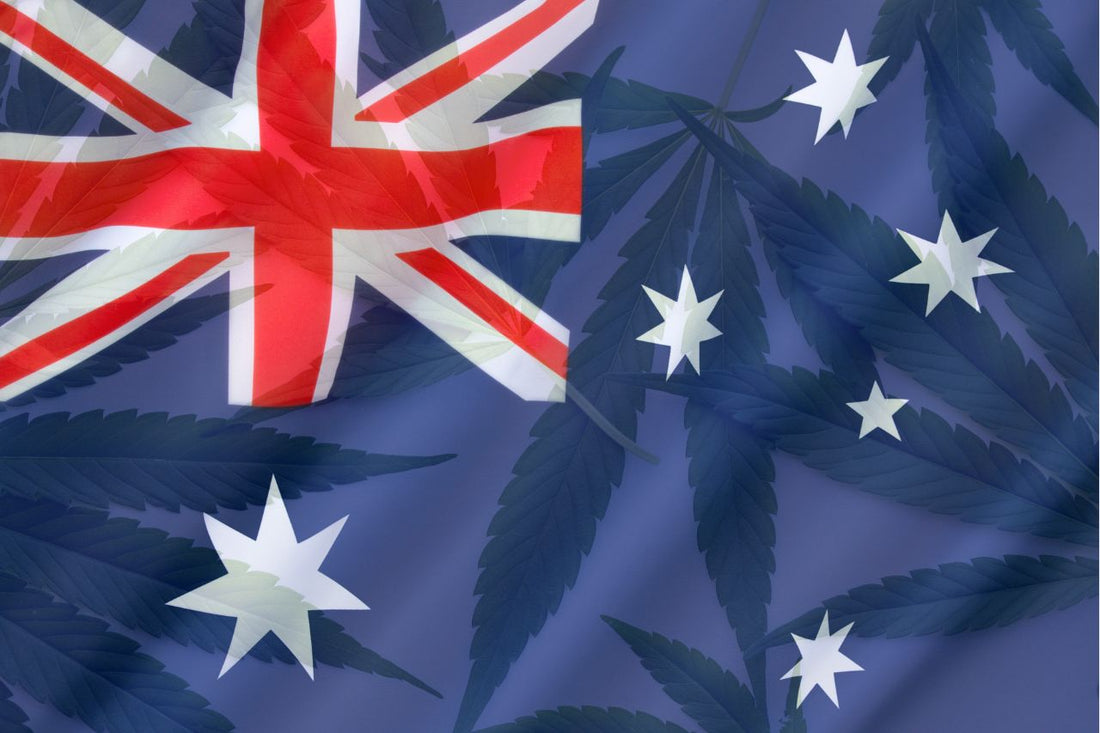 Australijska flaga i liście konopi