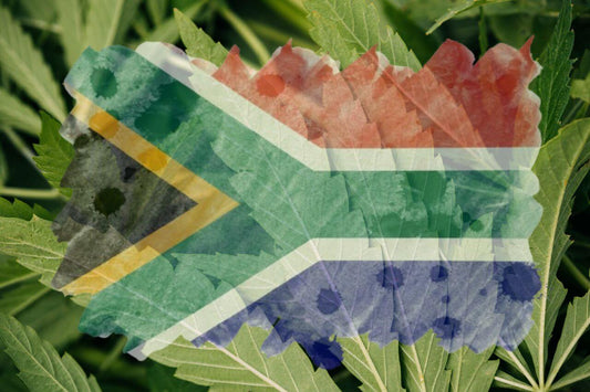 Afrykańska flaga i liść marihuany 