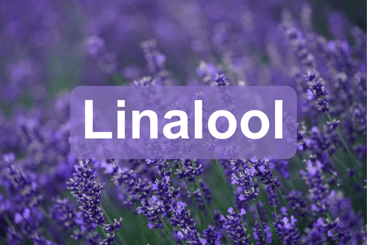 Linalool: Aromatyczny i terapeutyczny terpen w konopiach indyjskich