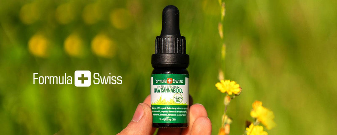 Nowe oleje RAW CBD pełne naturalnego CBDa