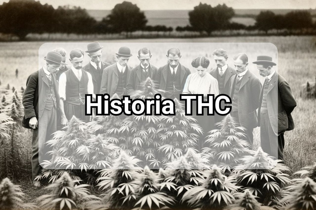 Historia THC