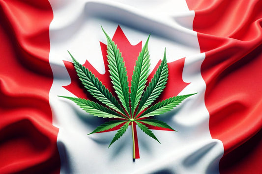Liść marihuany na tle kanadyjskiej flagi