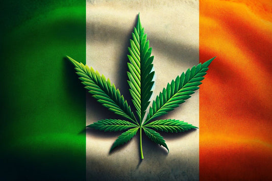 Irlandzka flaga i liść marihuany