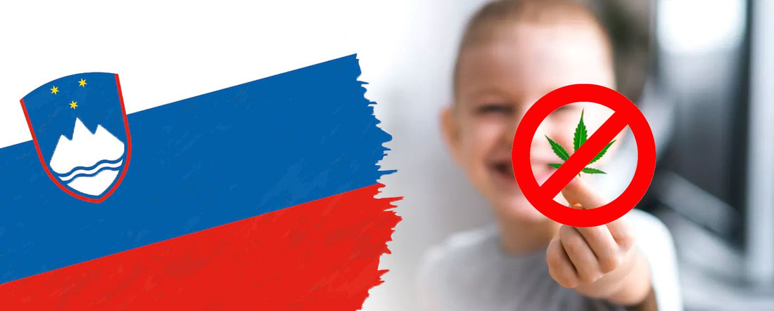 Słowenia zabrania stosowania CBD po zatruciu miejscowych dzieci