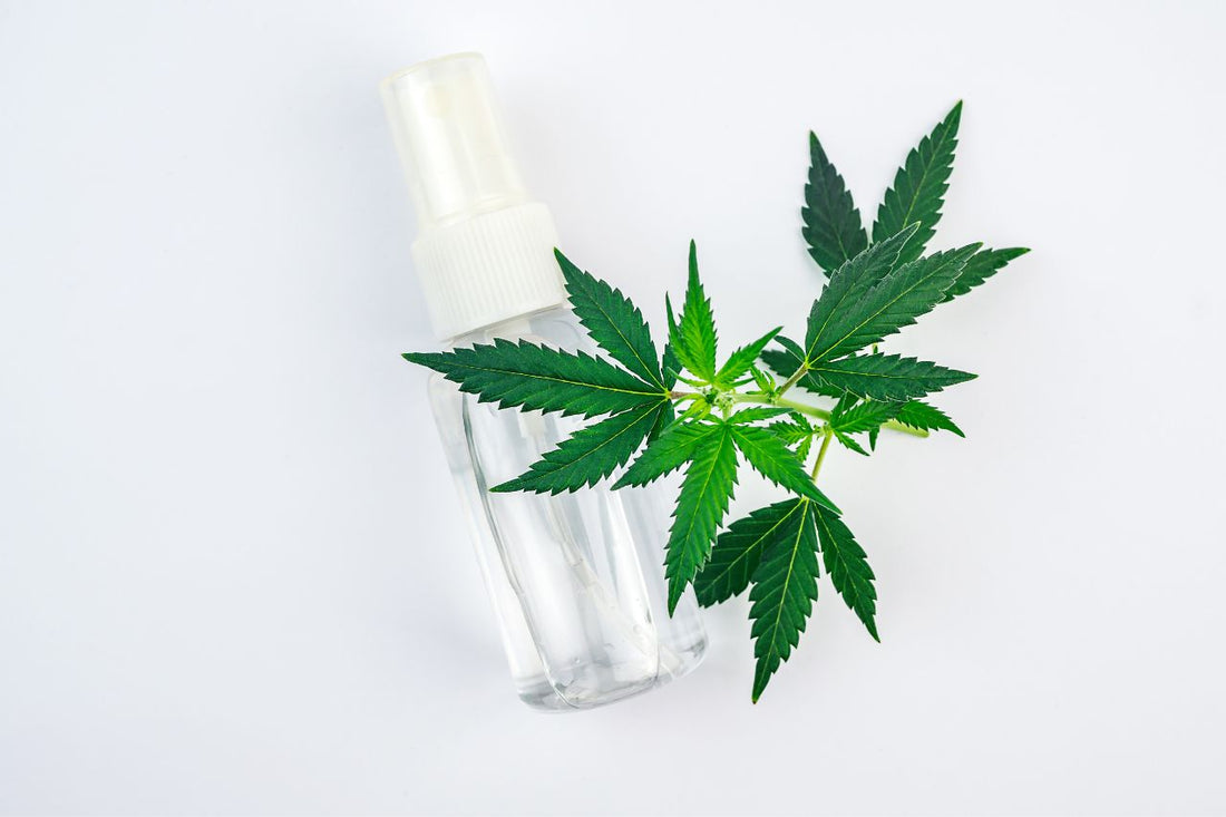 Cannabis Spray: Latarnia nadziei