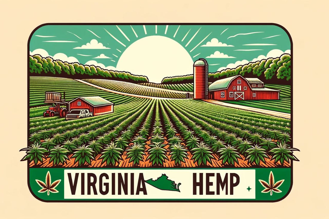 Rysunek farmy konopi w Wirginii