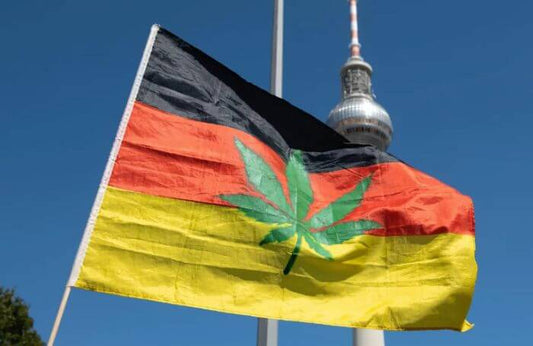 Niemiecki plan legalizacji marihuany