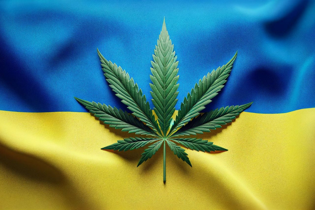 Ukraińska flaga i liść marihuany