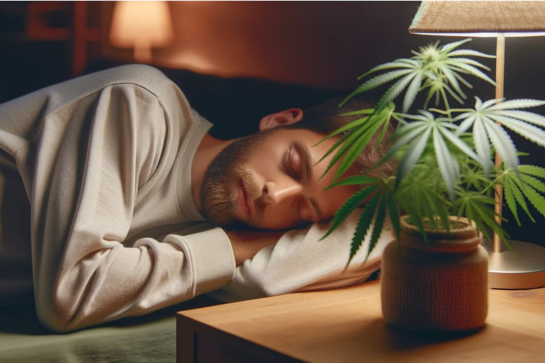  Śpiący mężczyzna z rośliną konopi obok niego