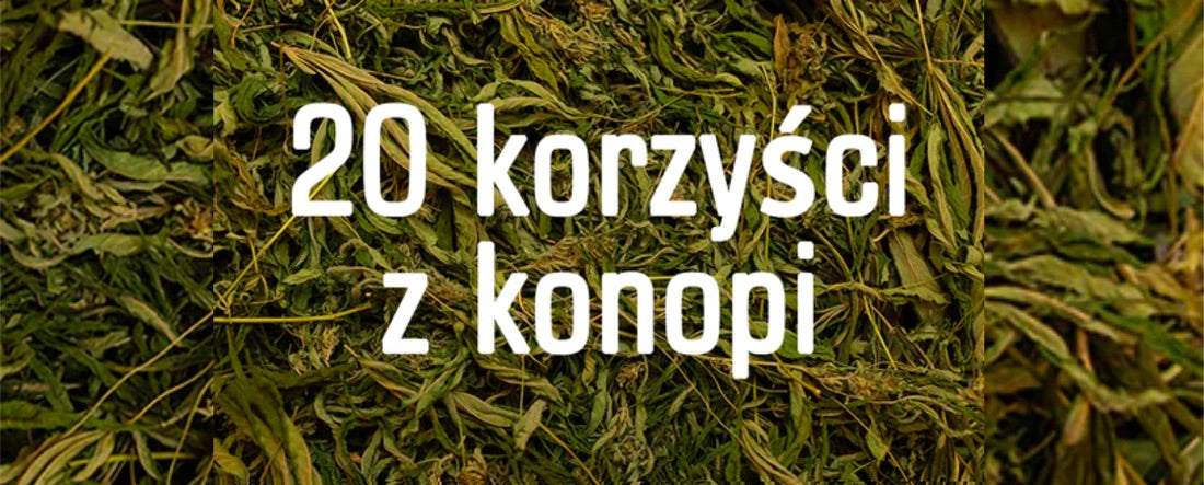 20 korzyści z konopi, w oparciu o naukę