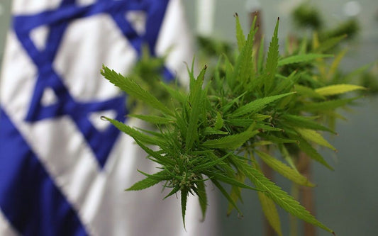 Nowe przepisy dotyczące medycznej marihuany w Izraelu