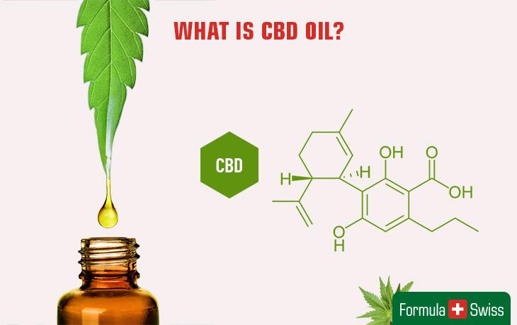Czym jest CBD? Kompletny przewodnik po Kannabidiolu, zastosowaniu, korzyściach i ryzyku związanym z olejem CBD